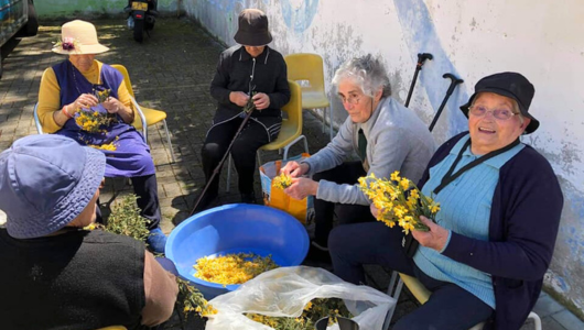 Women sitting outdoors, sorting yellow flowers in a circle.