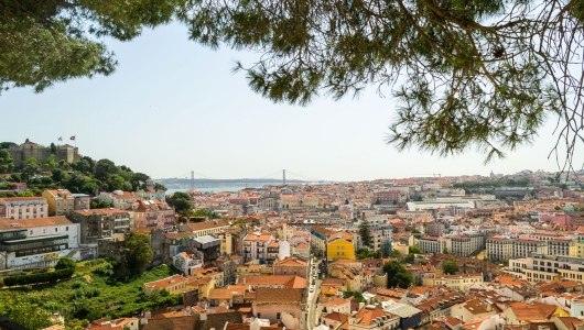 Scenic view of Lisbon with red rooftops, bridge, and tree branches overhead.