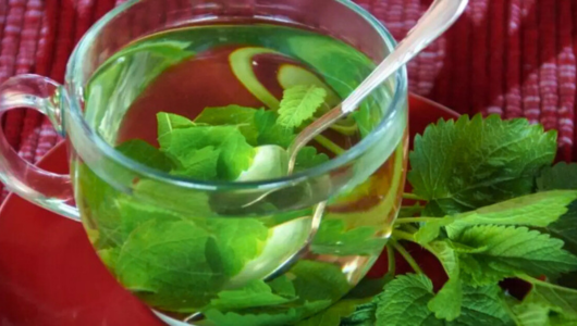 Glass cup of mint tea with fresh mint leaves.