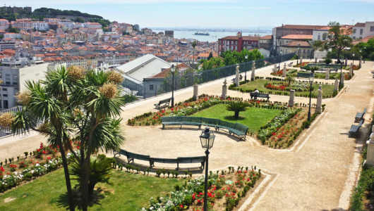 Scenic garden overlooking a cityscape and a distant bay.