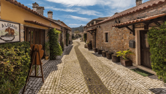 Cobblestone street in a quaint village with stone houses and green plants.