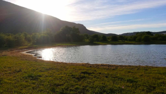 Sunlit lake with mountain and trees in the background.