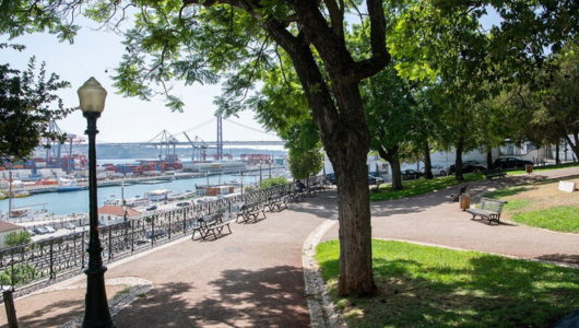 Park with trees and benches overlooking a river with a bridge and cranes in the background.