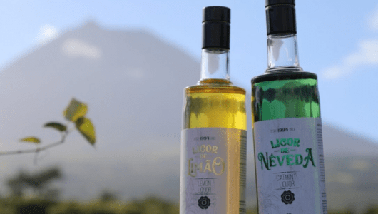 Two liquor bottles with mountain background.