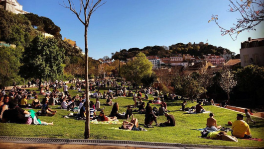 People sitting on a sunny grassy hill in a park with trees and buildings in the background.