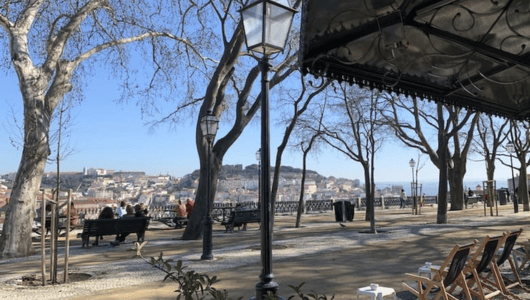 Scenic view of park, benches, and city skyline under clear blue sky.