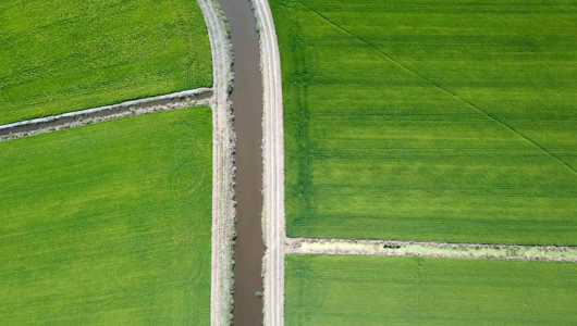 Aerial view of a river dividing green fields.