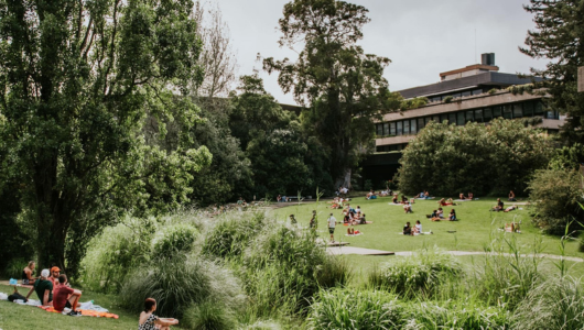 People relaxing on a grassy lawn with trees and a building in the background.