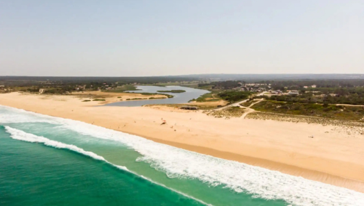 Aerial view of a beach with waves, sand, and distant greenery.