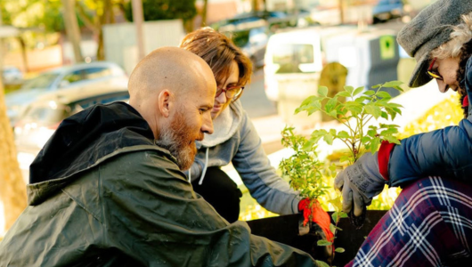 Three people gardening together, planting small plants in a raised bed outdoors.
