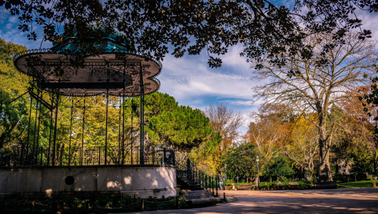 Gazebo in a park surrounded by trees and a clear sky.