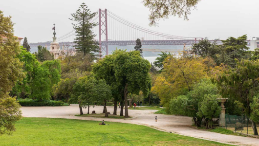 Lush park with trees, path, and distant view of a large red bridge.