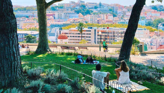 People sitting on grass under trees with a cityscape in the background.