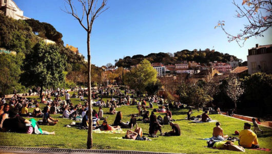 People relaxing on a sunny day in a park with trees and distant buildings.
