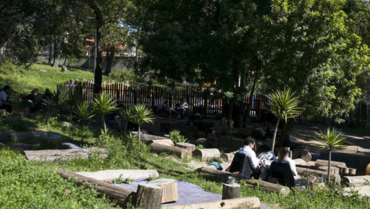 People sitting on logs in a sunny park with trees and lawn.