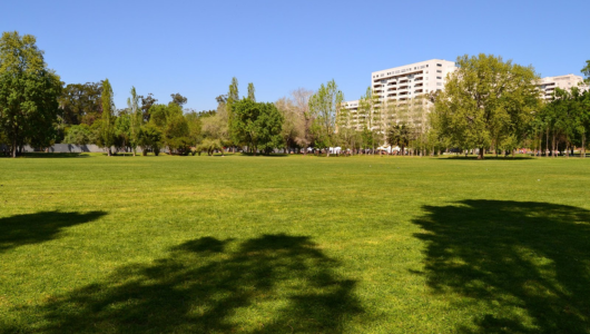 Open grassy park with trees and distant buildings under a blue sky.