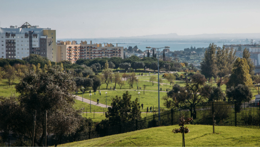 Urban park with trees, pathways, and distant cityscape under a clear sky.