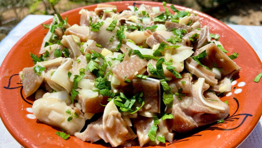 Dish of diced meat and herbs on a red plate.