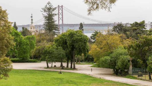 Park with trees and a distant suspension bridge on a cloudy day.