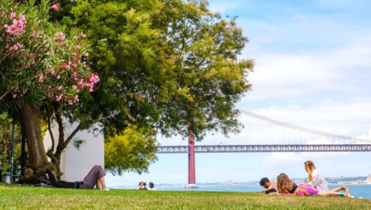 People relaxing under trees by a river with a large bridge in the background.