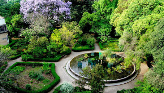 Aerial view of a lush garden with circular pathways and a central pond surrounded by trees.