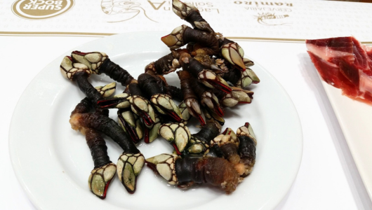 Plate of gooseneck barnacles on a white dish.