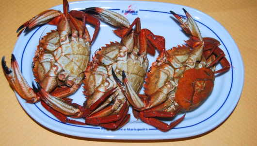 Three cooked crabs on a white oval plate.