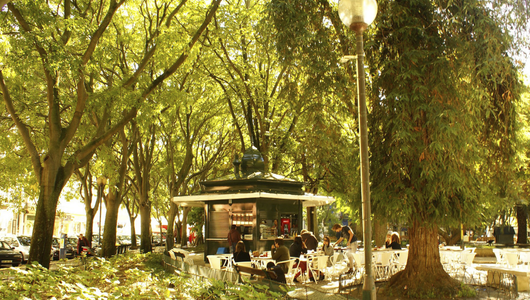 Outdoor cafe under trees with people sitting at tables.