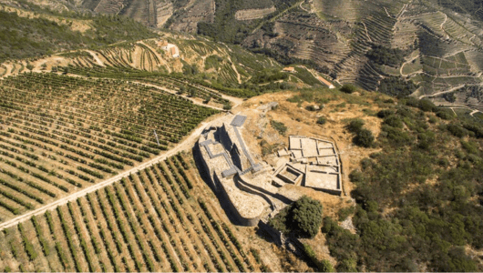 Aerial view of ancient ruins next to terraced vineyards on a hillside.
